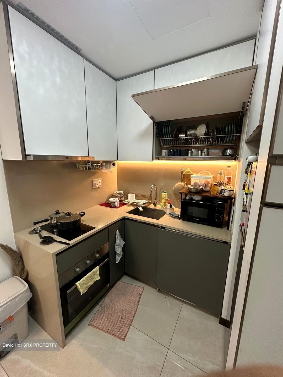 Normanton Park (D5), Apartment #509006681